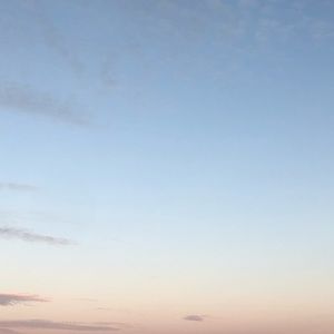 Meet your Posher, Rosie